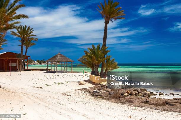 A Beautiful View Of The Mediterranean Coast With Birch Water A Beach With White Sand And A Green Palm Tree Stock Photo - Download Image Now
