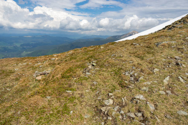 istock Spring mountains in snow and green grass 1325790871