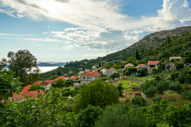 istock Croatia, Trsteno Adriatic Sae cost during sunset time. 1325794021