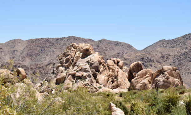 istock An Outcrop in the SoCal Wilderness 1325794389