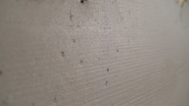 istock Smooth freshly plastered wall. freshly plastered wall with a damp uneven surface with applied mortar, cement color and smooth texture of the finishing putty on the wall of the room, empty building space. 1325796279