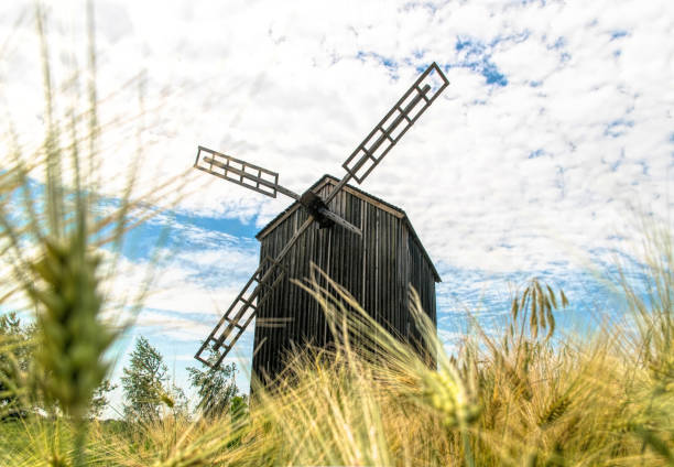 istock Old abandoned wooden mill and wheat summer field 1325797087