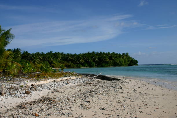 istock Jaluit atoll, Marshall Islands - White sand beach, lagoon & palm trees 1325798214