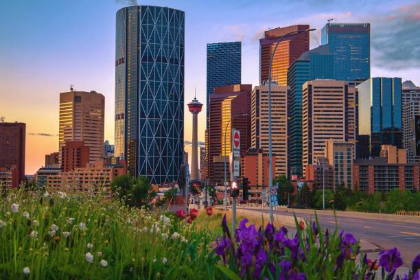 istock Summer Flowers By Downtown Calgary At Sunrise 1325798270