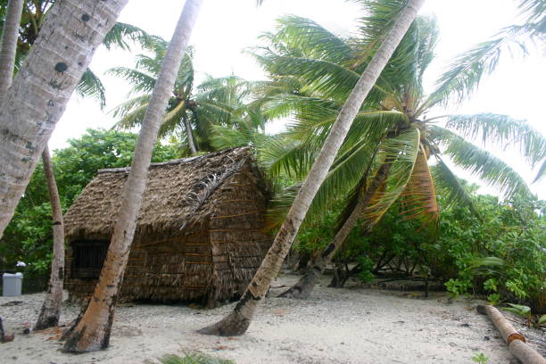 istock Jaluit atoll, Marshall Islands - traditional thatch house 1325798307