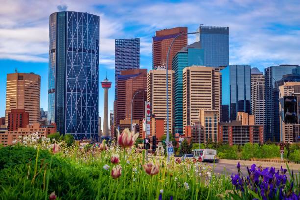 istock Bright Flowers Blossoming By Downtown Calgary 1325798455