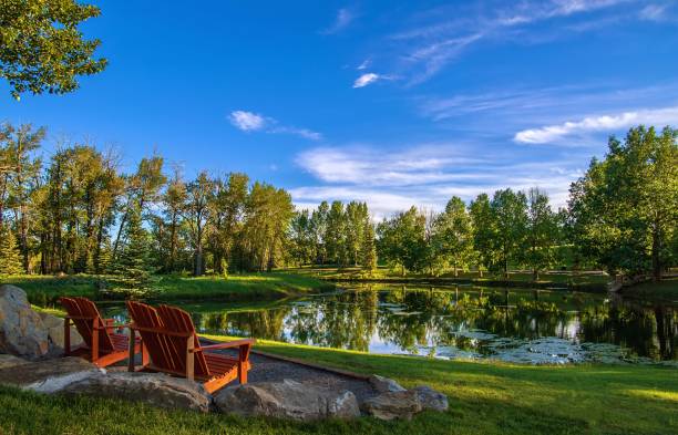 istock Chairs Overlooking A Summer Park Lake 1325798610