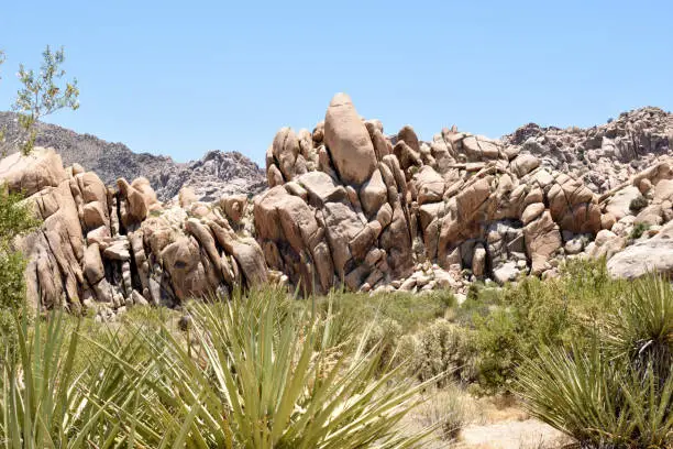 Photo of An Exotic Locale in the California Desert