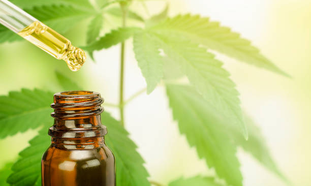 hemp oil hemp oil in a brown bottle against a background of cannabis leaves. cbd oil cbd oil photos stock pictures, royalty-free photos & images