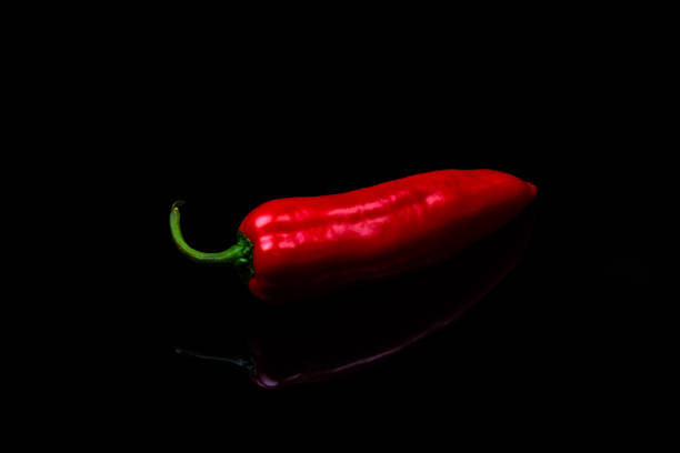 Ripe and Unripe Peppers Growing on a Plant – Fresh Garden Produce
