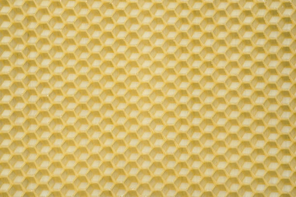 istock Natural beeswax. Honeycombs bee background. Wax base for honey bee rebuilding. 1325804338