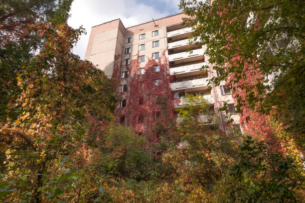 istock Overgrown building in abandoned ghost town Pripyat 1325810316