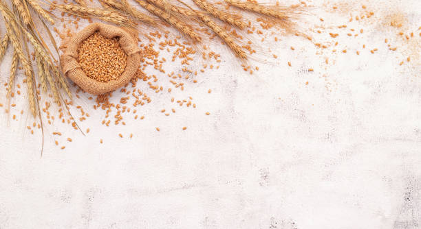 istock Wheat ears and wheat grains set up on white concrete background. 1325811106