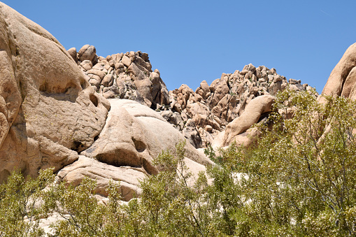 A snapshot of rock formations and foliage at Joshua Tree National Park in California.