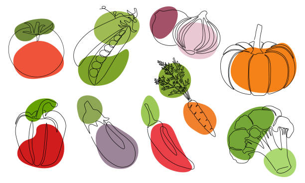 непрерывная одна линия рисования овощей. векторная иллюстрация. черная линия искусства на белом фоне с красочными пятнами. набор с мультяш� - white background green pattern tomato stock illustrations