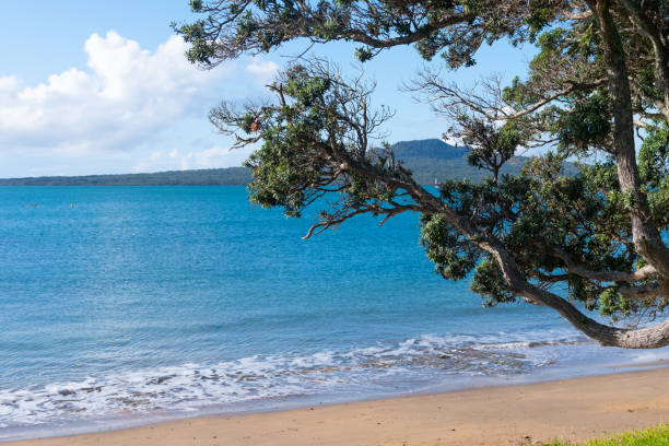 istock Rangitoto Island on distant horizon 1325819181