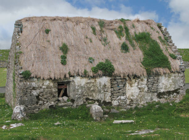 istock Abandoned Thatched-Roof Cottage 1325819247