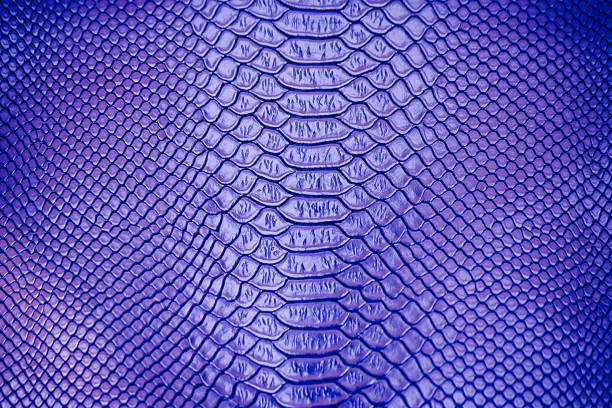 istock Close up of blue Luxury snake skin texture 1325825466