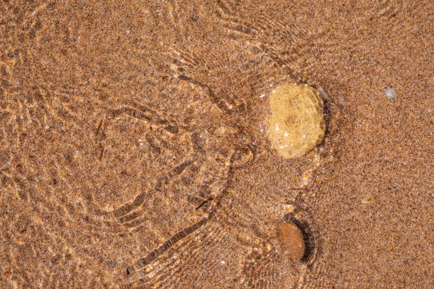 istock Soft wave of the sea on the sandy beach. 1325836729