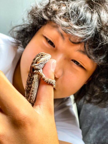 istock A lizard on Asian boy’s finger 1325836826