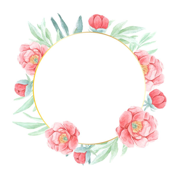 ilustrações, clipart, desenhos animados e ícones de peônia vermelha aquarela com moldura redonda de coroa dourada isolada em fundo branco com espaço de cópia - bouquet rose peony rosé