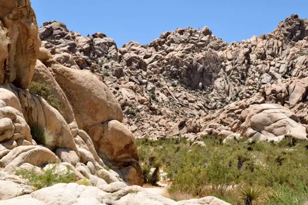 Photo of A Rocky Locale in the California Desert