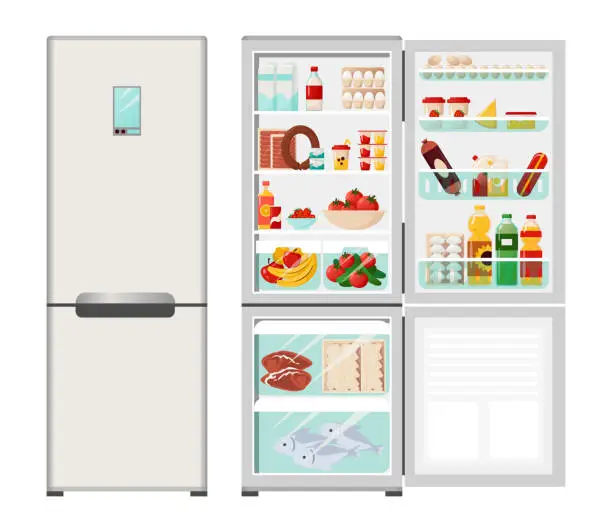 Vector illustration of Fridge. Cartoon opened or closed refrigerator full of dairy products, vegetables and fruits. Bottle of milk, eggs and sausage on shelves. Fish or meat in freezer. Vector kitchen equipment