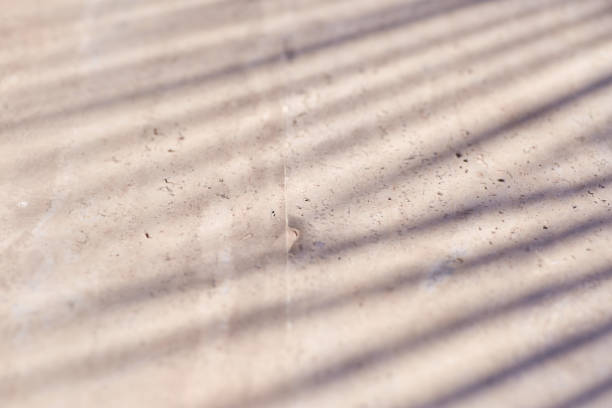 istock Elegant stylish top view texture with tropical palm leaf shadows, beige natural stone wall. Minimal trendy abstract concrete texture background 1325839948
