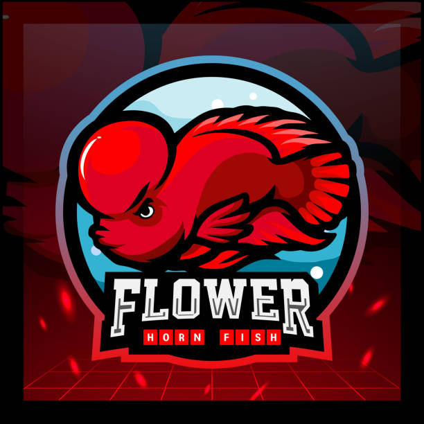 Flower horn fish mascot. sport emblem design Flower horn fish mascot. sport emblem design cichlid stock illustrations