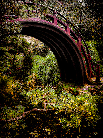 An arched bridge in a Japanese tea garden.