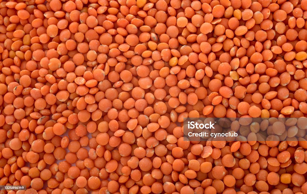red lentil red lentil in front of white background Color Image Stock Photo