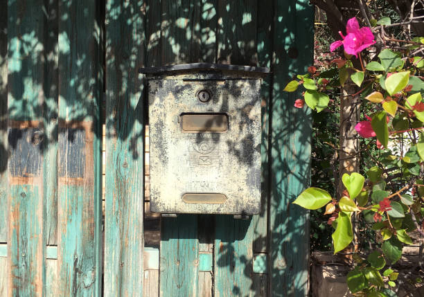 A mailbox hangs from an old peeling wooden door surrounded by pink flowers.  The mailbox is in the center of the frame.