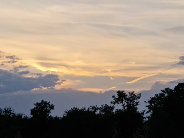 istock Sunset in a park with field 1325851223