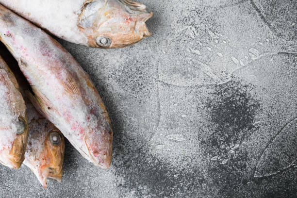 istock Frozen surmullet  fish, on gray stone table background, top view flat lay , with copy space for text 1325851510