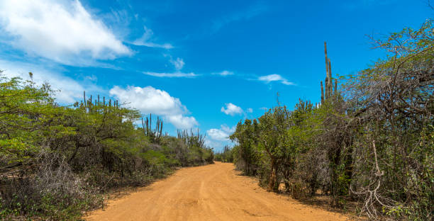 High angle view on desert road, Bonaire