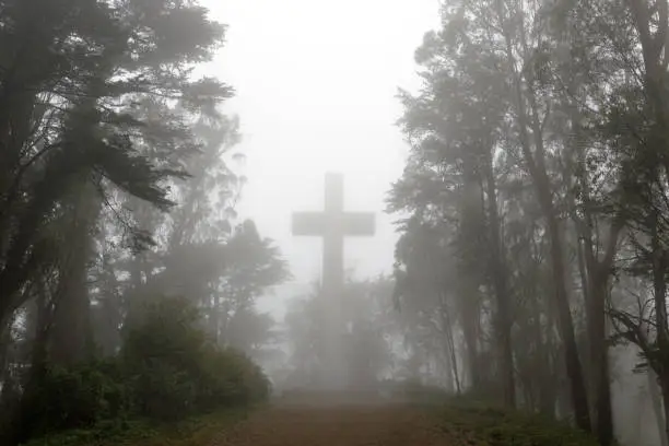 Foggy summer day over the cross at the top of Mt Davidson, the highest point in San Francisco, CA.