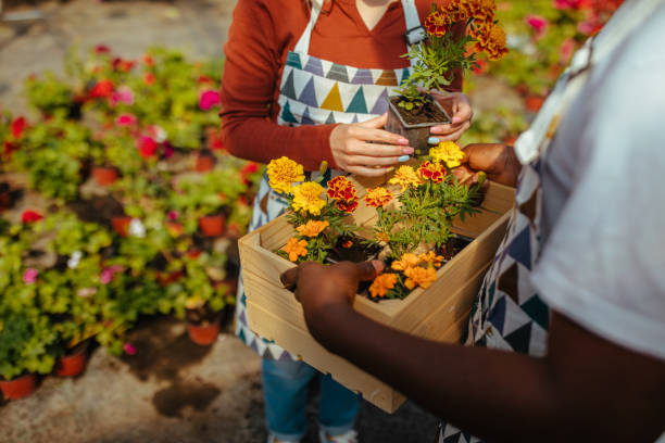istock Diverse coworkers working together in greenhouse 1325852416