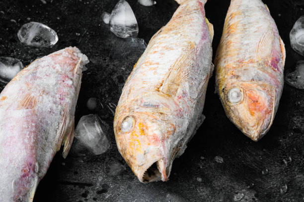 istock Frozen mullet or sultanka fish, on black dark stone table background 1325852795