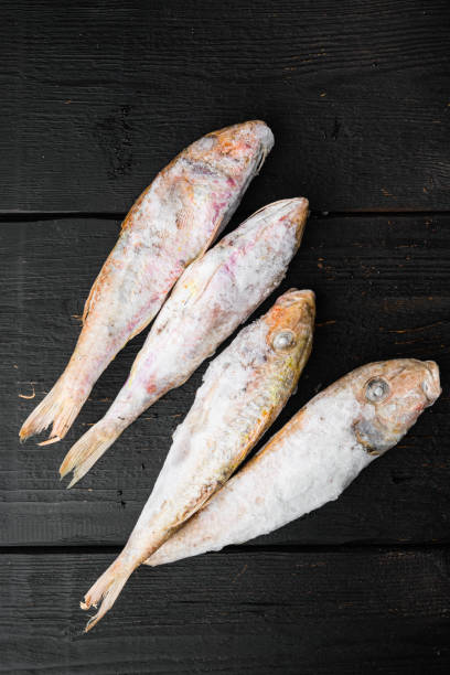 Frozen surmullet  fish, on black wooden table background, top view flat lay