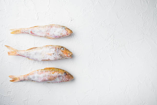 Frozen mullet or sultanka fish, on white stone table background, top view flat lay , with copy space for text