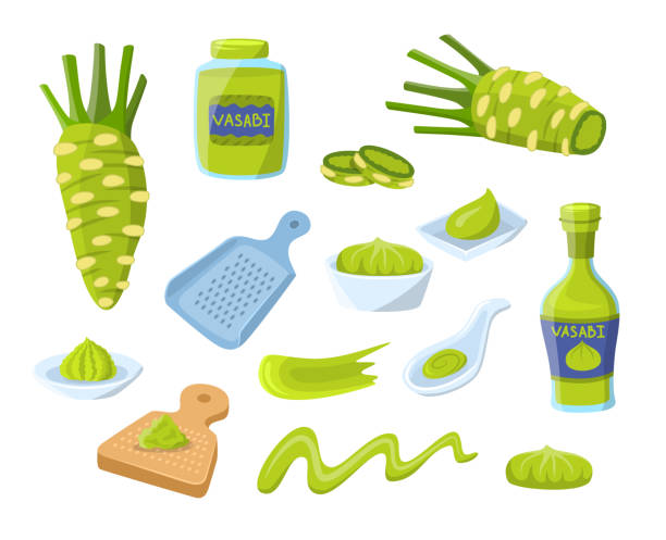 cartoon color różne wasabi ikony zestaw. wektor - wasabi stock illustrations