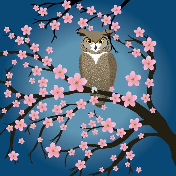 134 Great Horned Owls Illustrations & Clip Art - iStock | Barn owls,  Screech owls, Eagle owls
