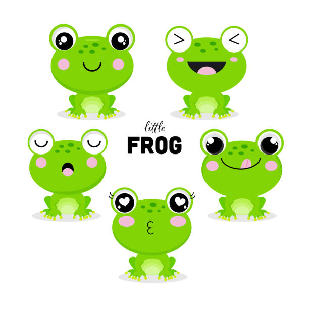 illustrations, cliparts, dessins animés et icônes de ensemble de petites grenouilles dans le style cartoon. - bullfrog frog amphibian wildlife