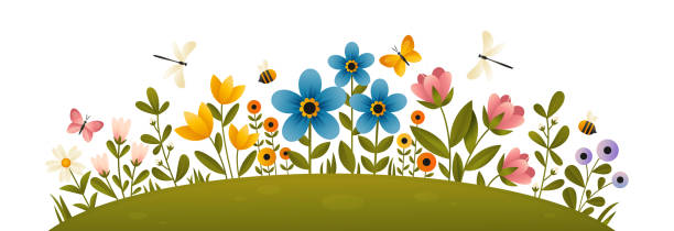 Flower meadow. Clip art A glade with colorful blooming flowers and plant branches. Summer flowers flat vector illustration with bees, dragonflies and butterflies  on white background. Summer flower bed. grounds illustrations stock illustrations