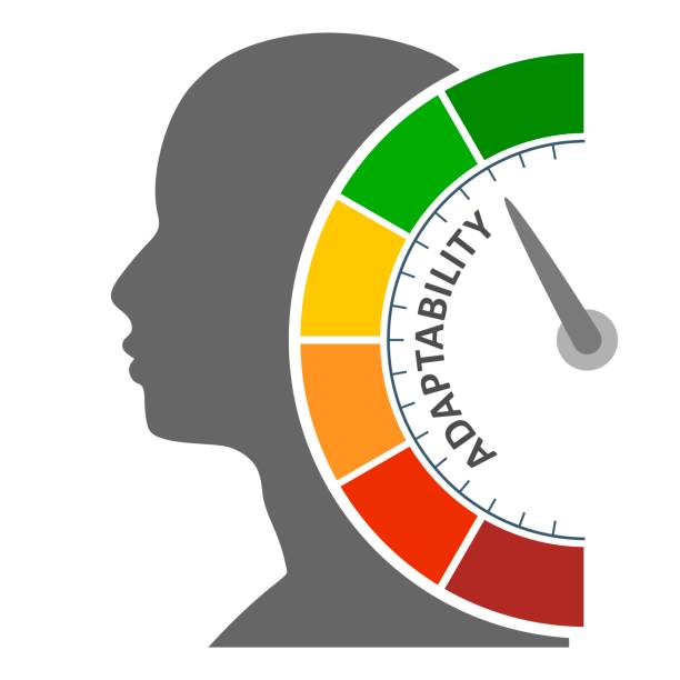 Concept of human adaptability , development of personal qualities Adaptability level scale with arrow. The measuring device icon. Sign tachometer, speedometer, indicators. Head of man silhouette. flexible adaptable stock illustrations