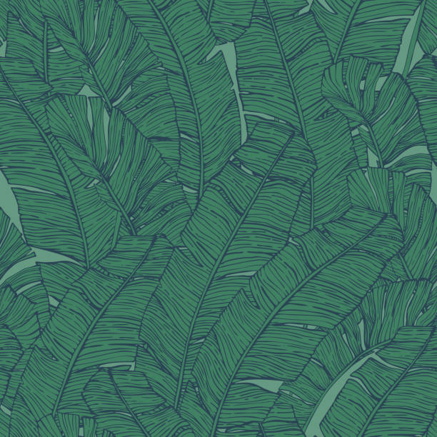 Jungle greenery background for print, textile, fabric, cover design. Dark green tropical leaf in line art style. Banana leaves seamless pattern. Jungle greenery background for print, textile, fabric, cover design. Dark green tropical leaf in line art style. Vector illustration foliate pattern stock illustrations