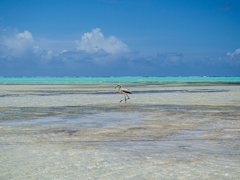 Seascape of Ile aux Cerfs Leisure Island, Mauritius. This island is a popular destination that attracts European tourists in the summer.