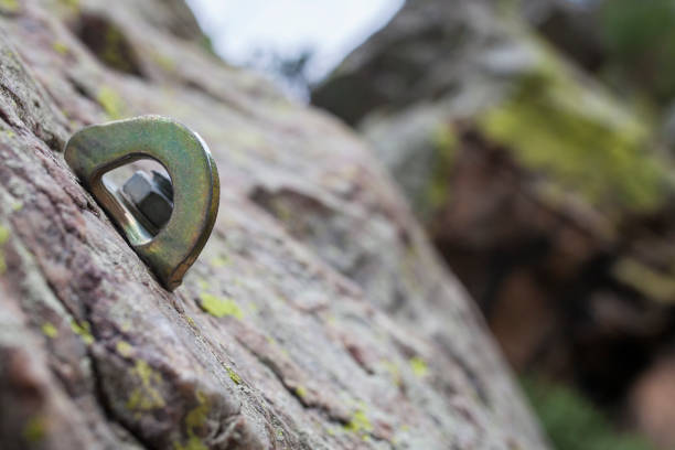 istock Bolt or parabolt fixed into a hole drilled in the rock full of lichen 1325864609