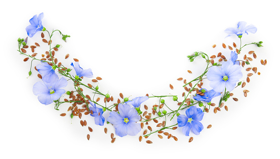 Flax flowers and seeds on white background, top view