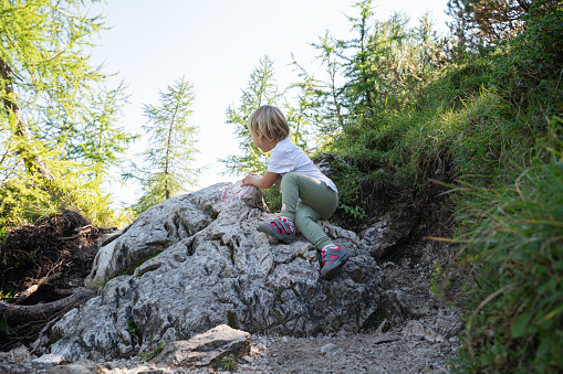 Toddler child climbing the rock on a hiking trail in beautiful green nature.